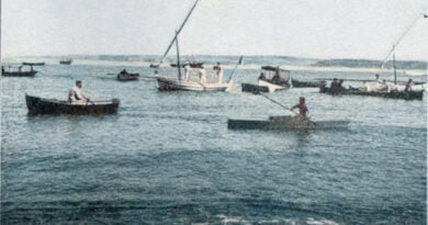 Rumo e Remo Jornal de Paço de Arcos - barcos na enseada da villa