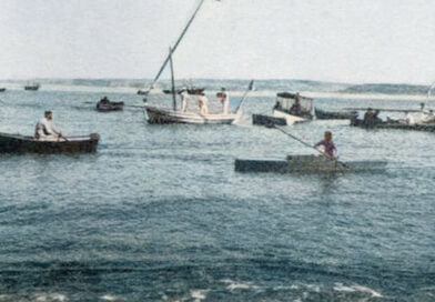 Rumo e Remo Jornal de Paço de Arcos - barcos na enseada da villa