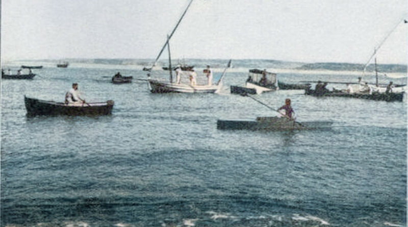 Jornal de Paço de Arcos - barcos na enseada da villa