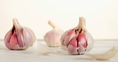 Alho, Verdadeiro Alimento-Medicamento cabeça de alho