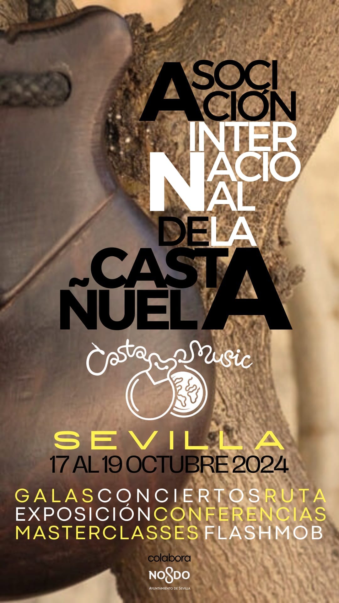 Associacion Internacional De La Castañela